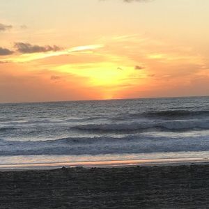 Meet your Posher, Rose